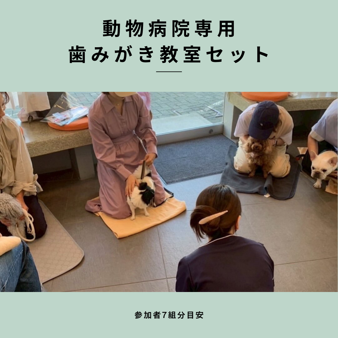 (動物病院専用)OraBio歯みがき教室セット (10種29点)