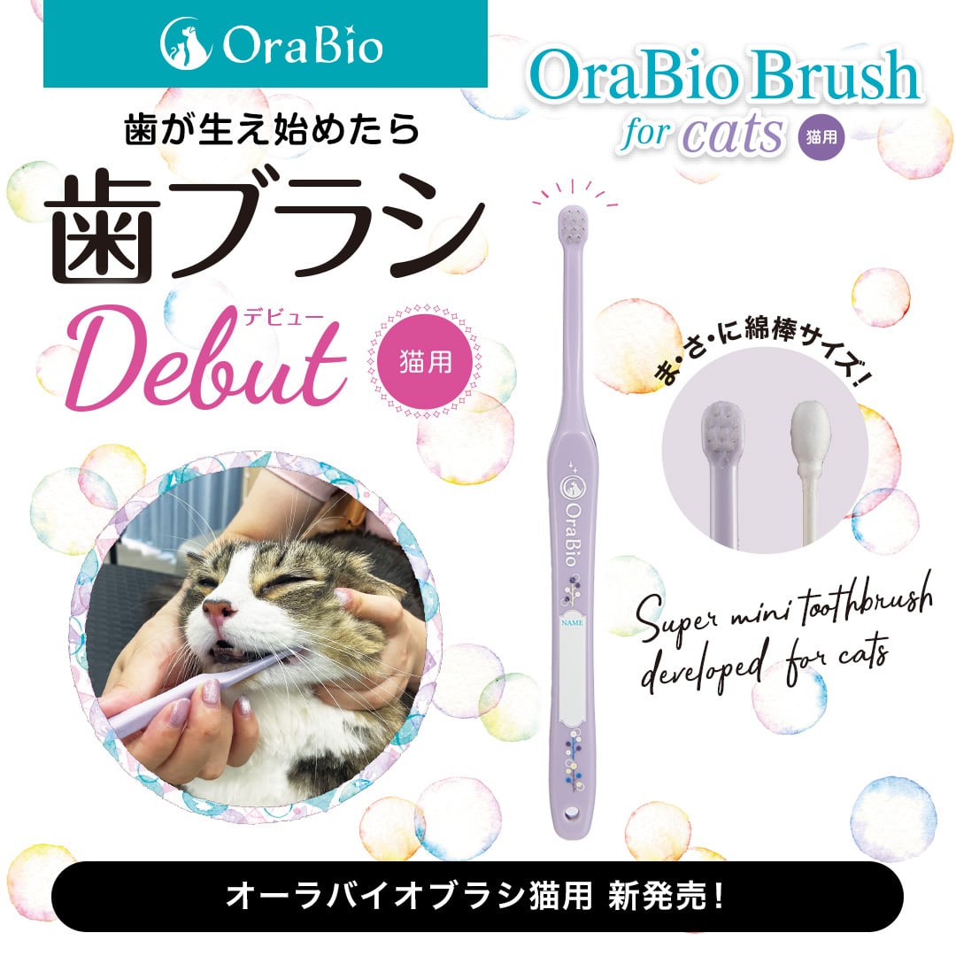 オーラバイオブラシ 猫用(歯科衛生士推奨)12個入り