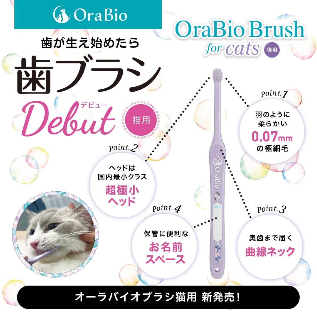 オーラバイオブラシ 猫用(歯科衛生士推奨)12個入り