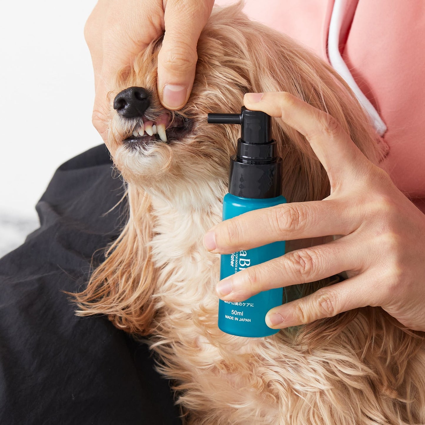 OraBio リペアウォーター50ml(マウススプレー)犬猫用 6個入り