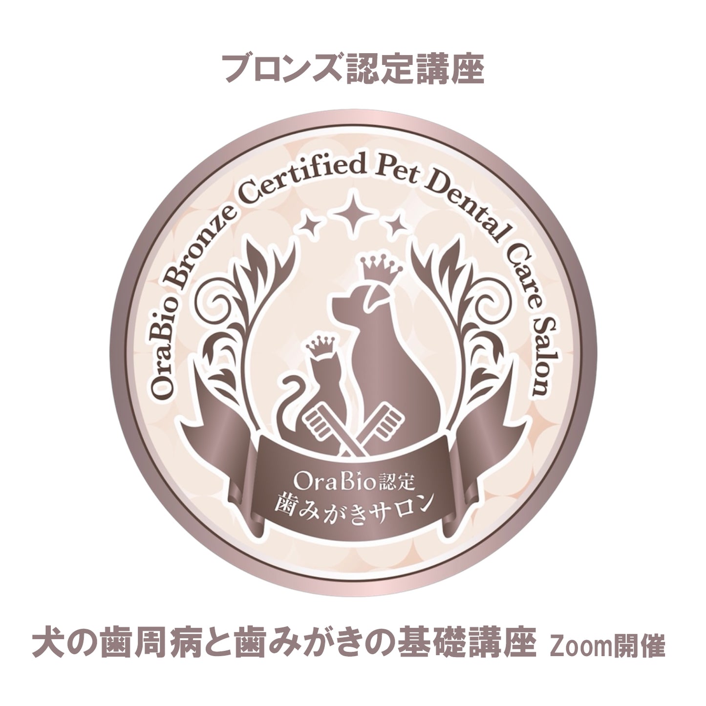 ブロンズ認定(犬の歯周病と歯みがきの基礎講座)