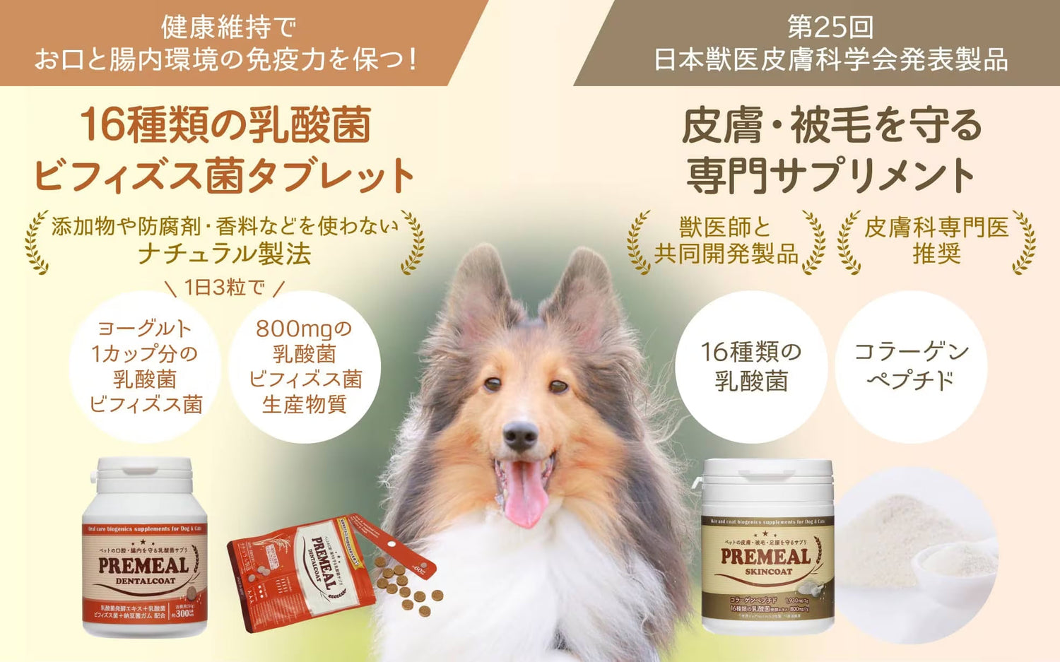 PREMEAL（乳酸菌）