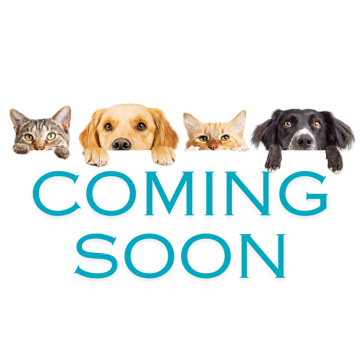 おやつ(ComingSoon)