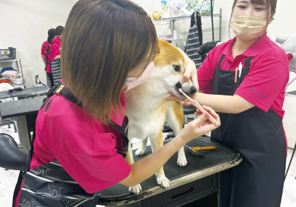 OraBio認定歯みがきサロン