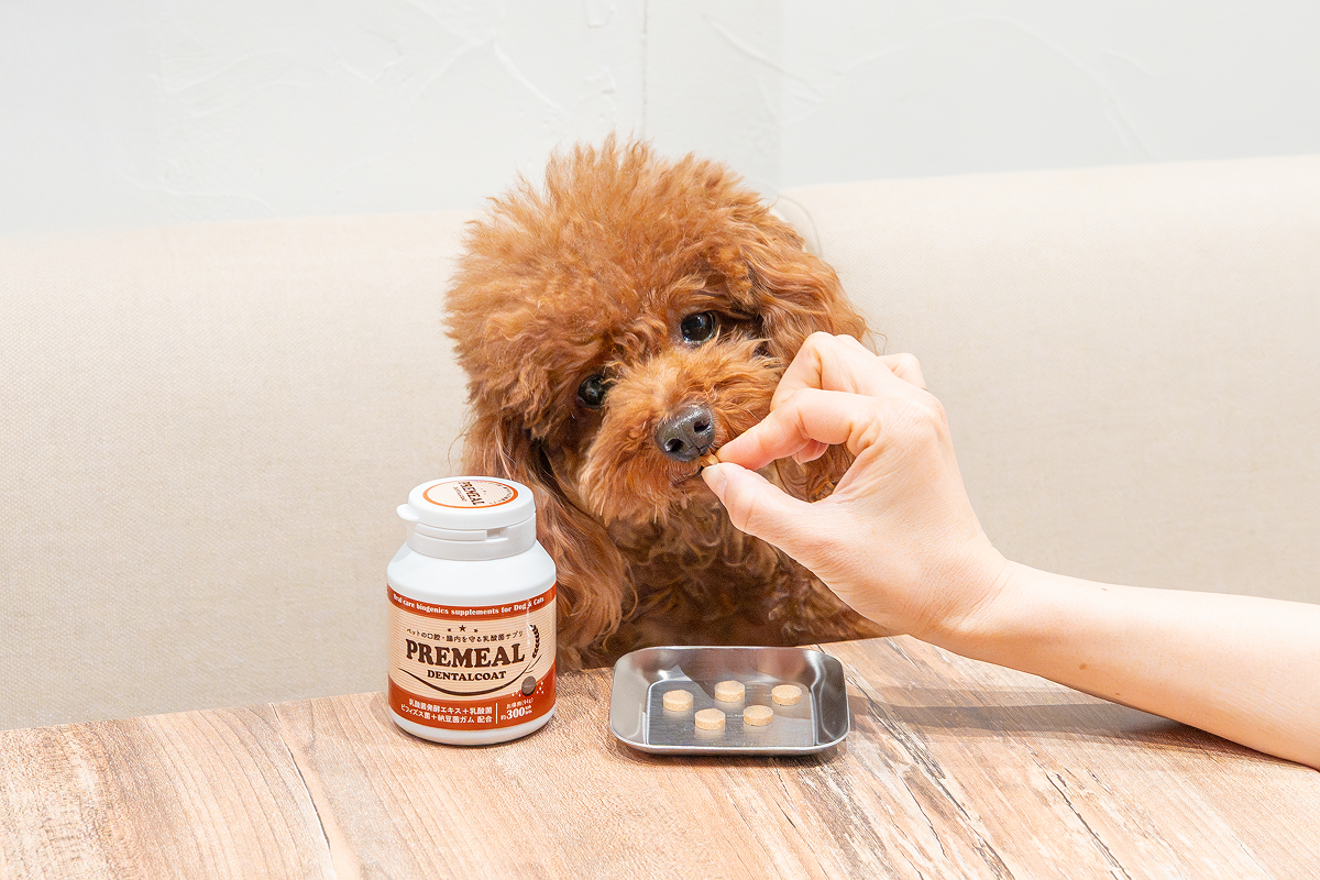 歯磨き後のご褒美に