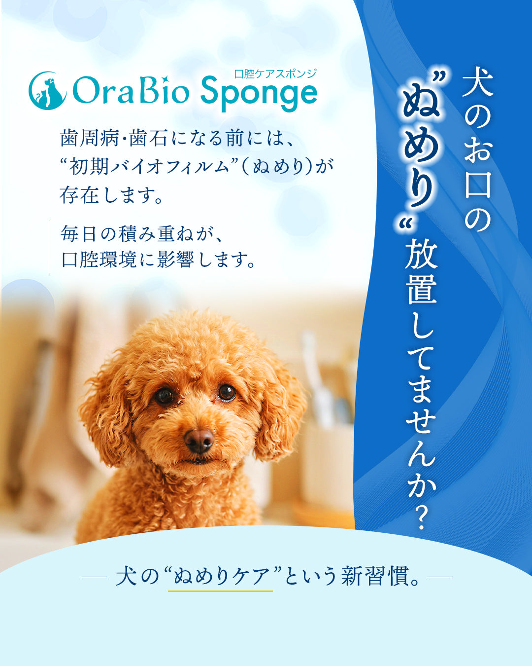 OraBio Sponge（オーラバイオスポンジ） 50本入
