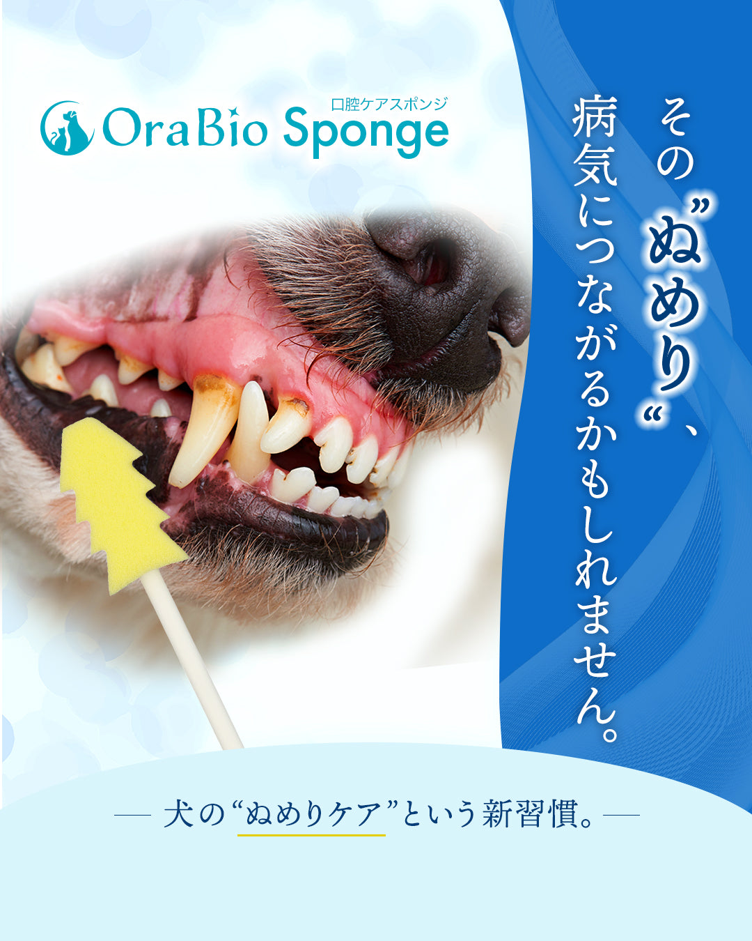 OraBio Sponge（オーラバイオスポンジ） 50本入
