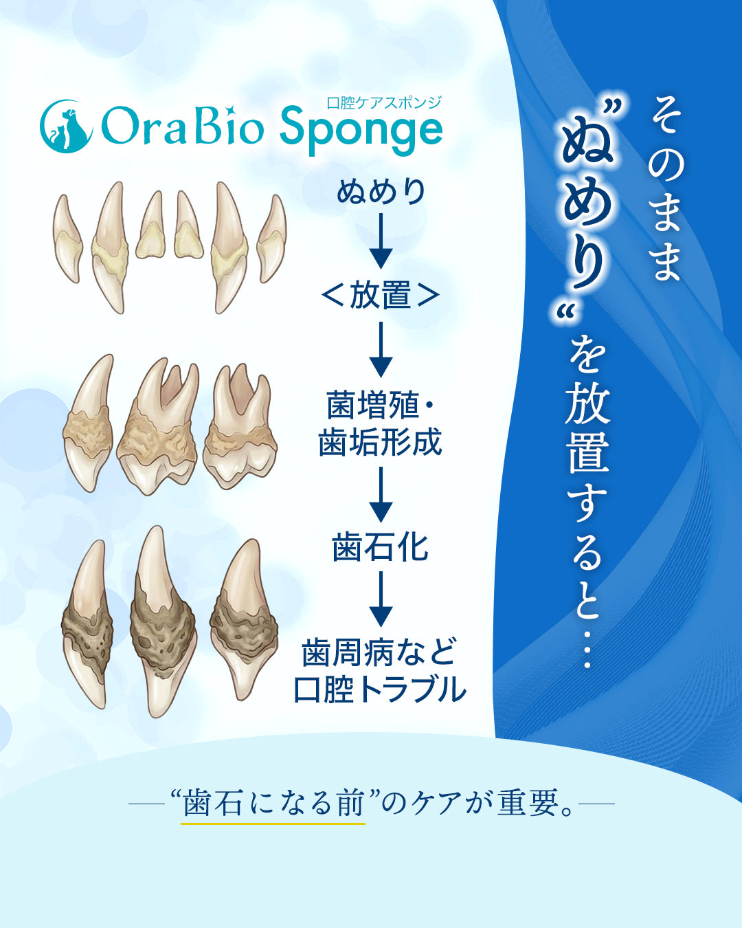 OraBio Sponge（オーラバイオスポンジ） 50本入