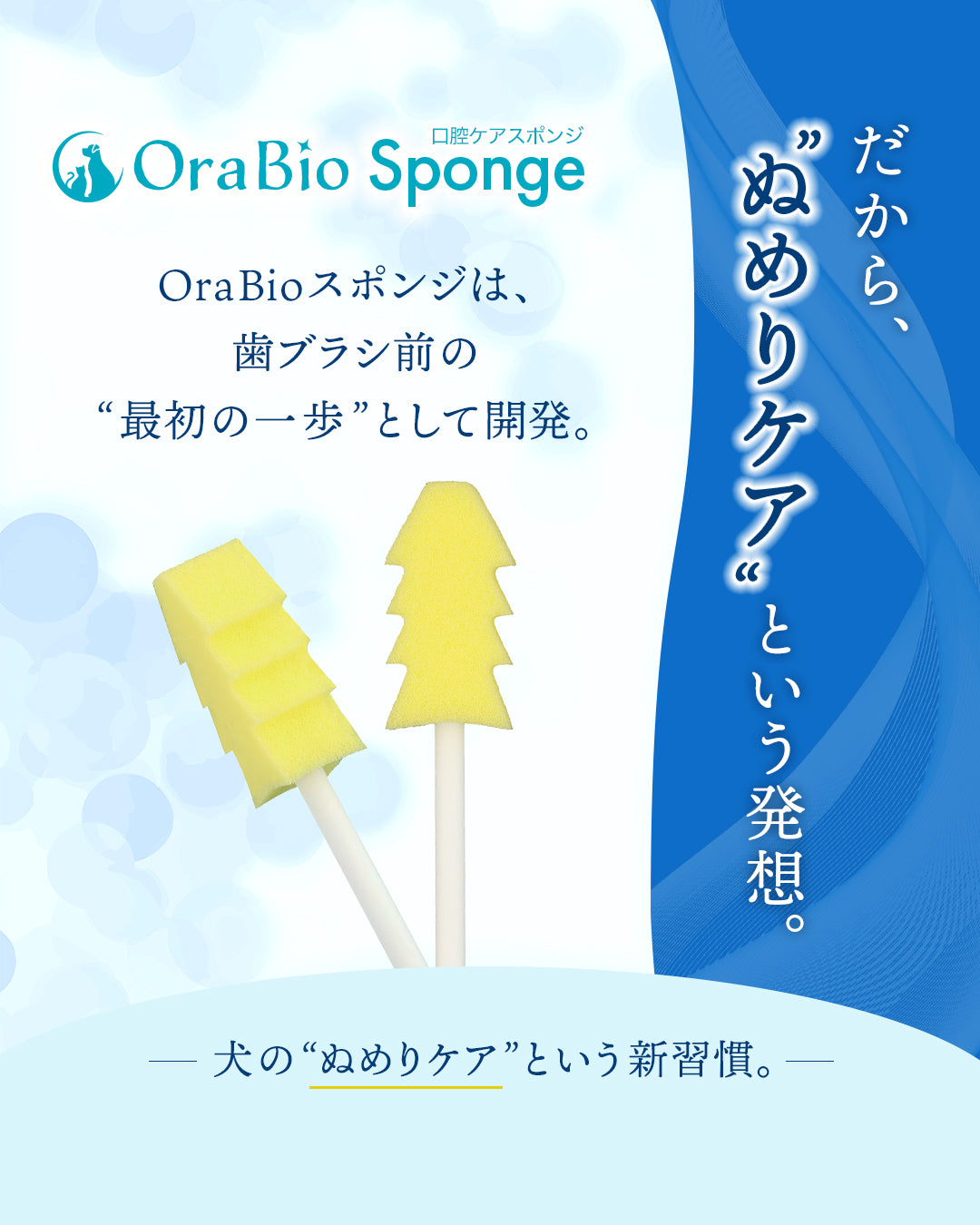 OraBio Sponge（オーラバイオスポンジ） 50本入