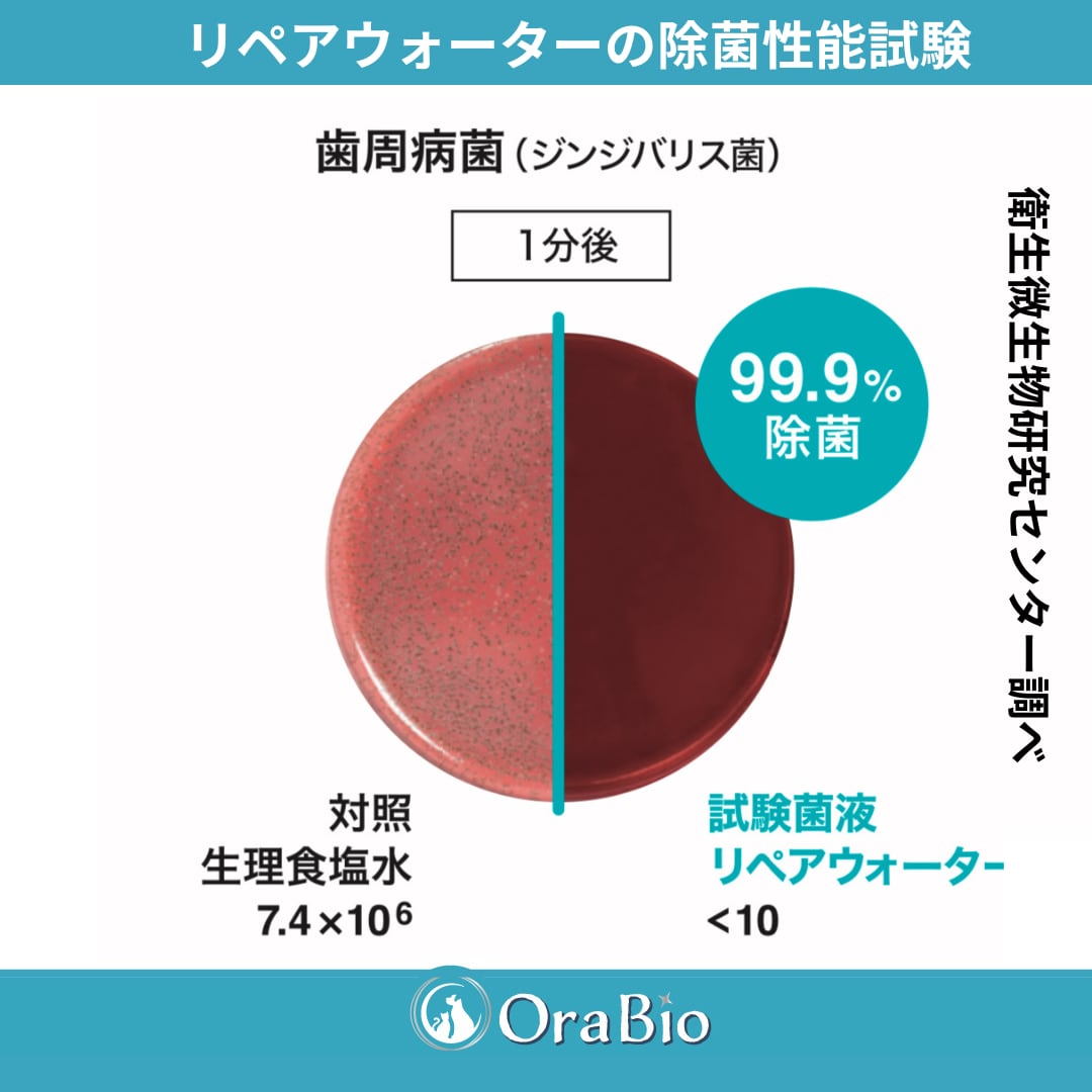 OraBio リペアウォーター50ml（マウススプレー）犬猫用 6個入り