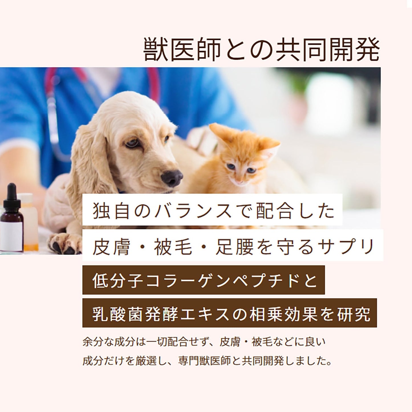スキンコート83g　皮膚被毛に / 獣医師と共同開発