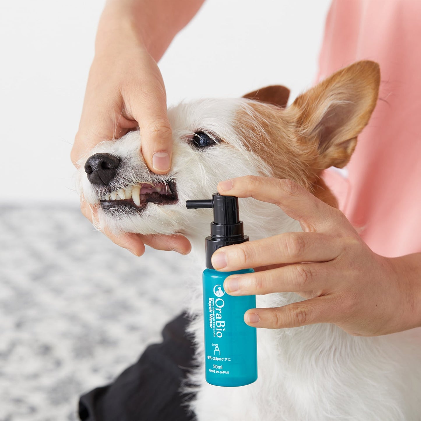 OraBio リペアウォーター50ml（マウススプレー）犬猫用 6個入り