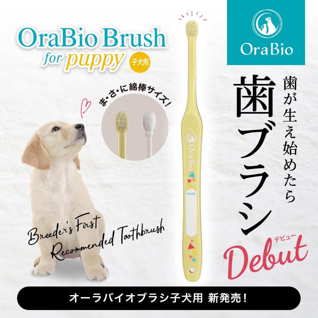 オーラバイオブラシ　子犬用（歯科衛生士推奨）12個入り