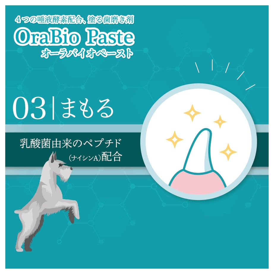 オーラバイオペーストPRO [無香料]（４種の唾液酵素&乳酸菌培養エキス配合）歯磨剤 6個入り
