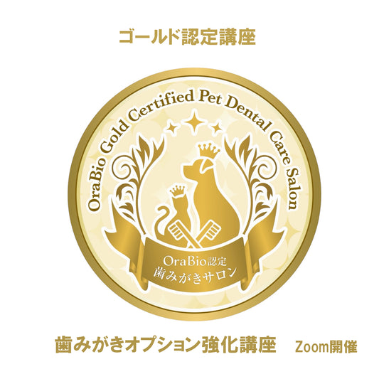 ゴールド認定（歯みがきオプション強化講座）