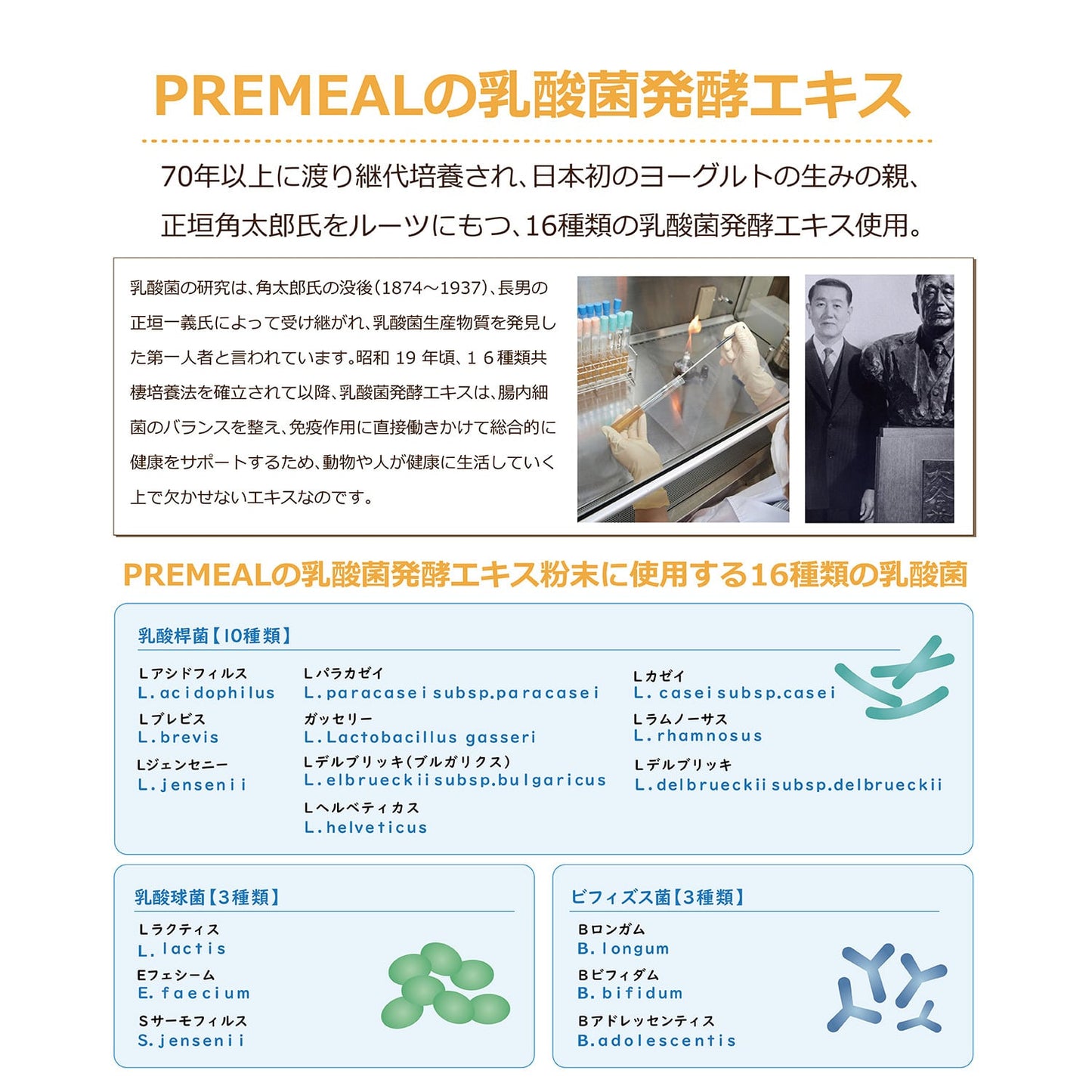 【お試し / 60粒入】PREMEAL　デンタルコート　60tablets