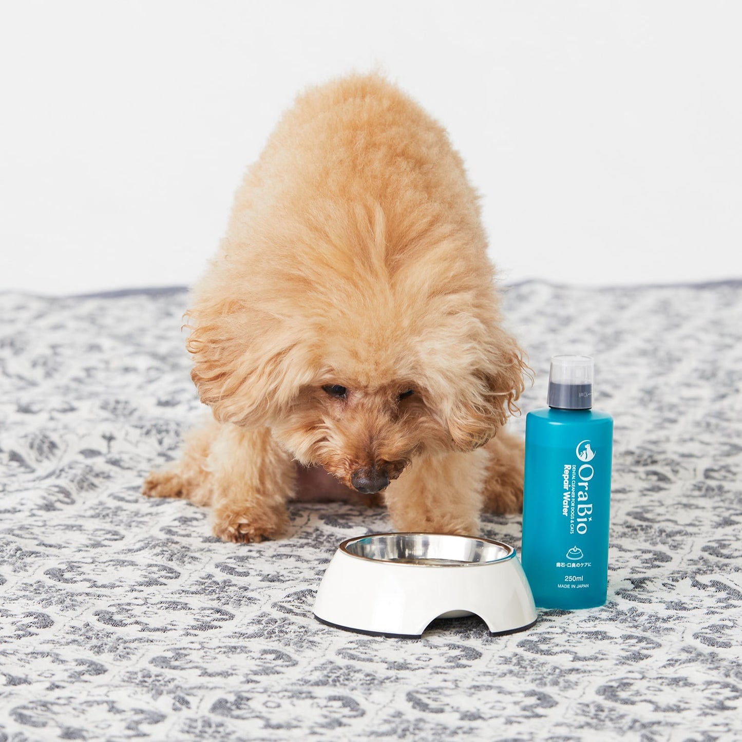 OraBio リペアウォーター250ml（マウスウォッシュ）犬猫用