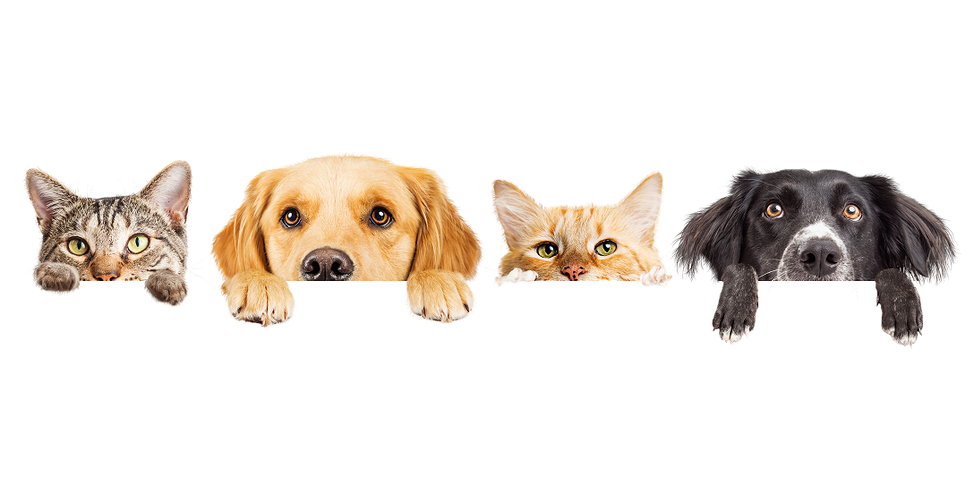 ただいま準備中