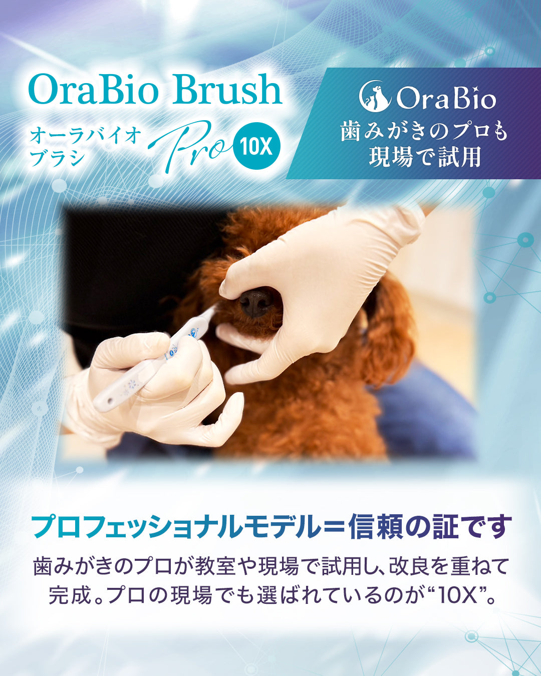 オーラバイオブラシPRO 10X（歯科衛生士推奨）12本入 – BYRON Partners