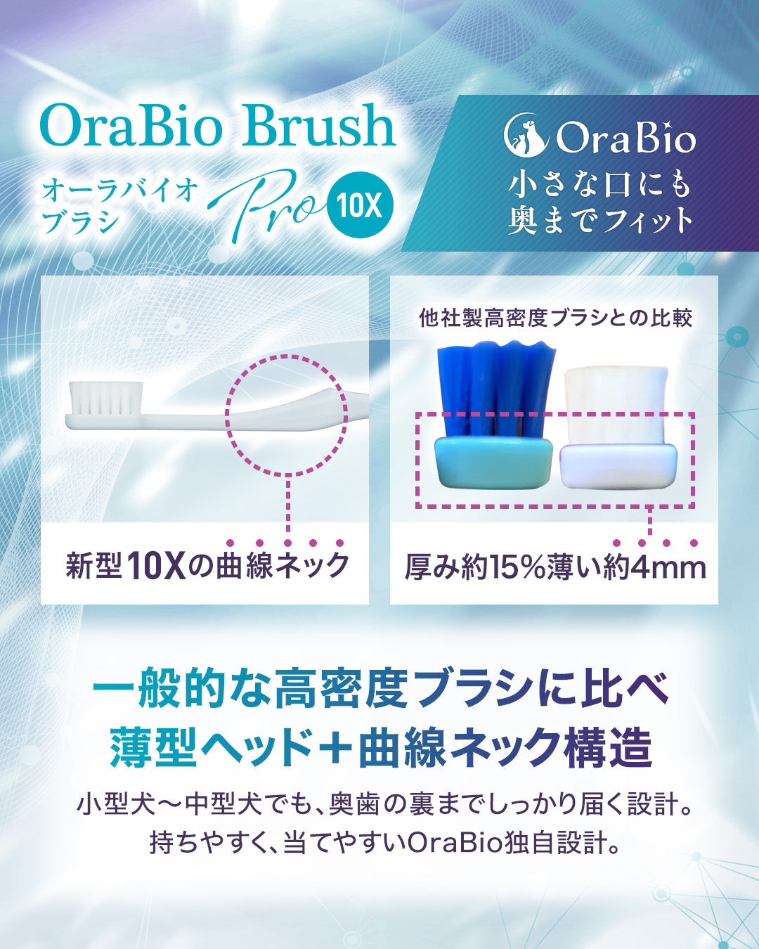 오라 바이오 브러쉬 라지 네이비(치과 위생사 추천) 12개들이