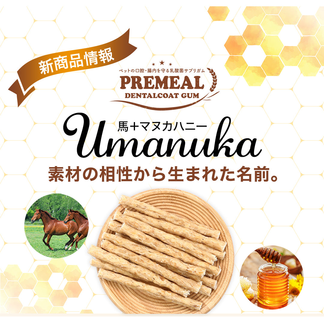 PREMEAL　デンタルコートガムUmanuka　50本入　馬皮＋マヌカハニー / 口腔・腸内環境ケアに