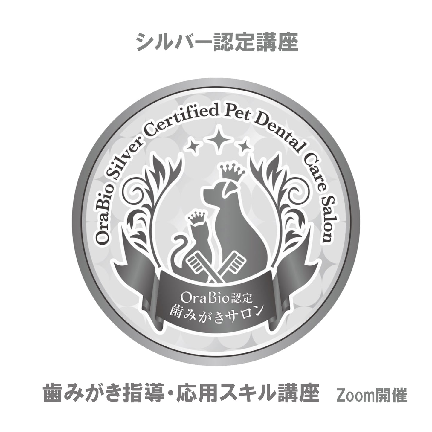シルバー認定（歯みがき指導・応用スキル講座）