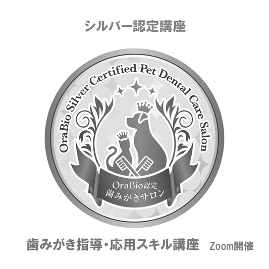 シルバー認定（歯みがき指導・応用スキル講座）