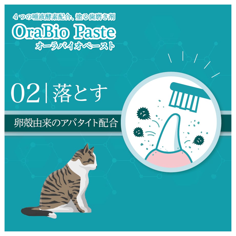 オーラバイオペーストPRO [無香料]（４種の唾液酵素&乳酸菌培養エキス配合）歯磨剤 6個入り
