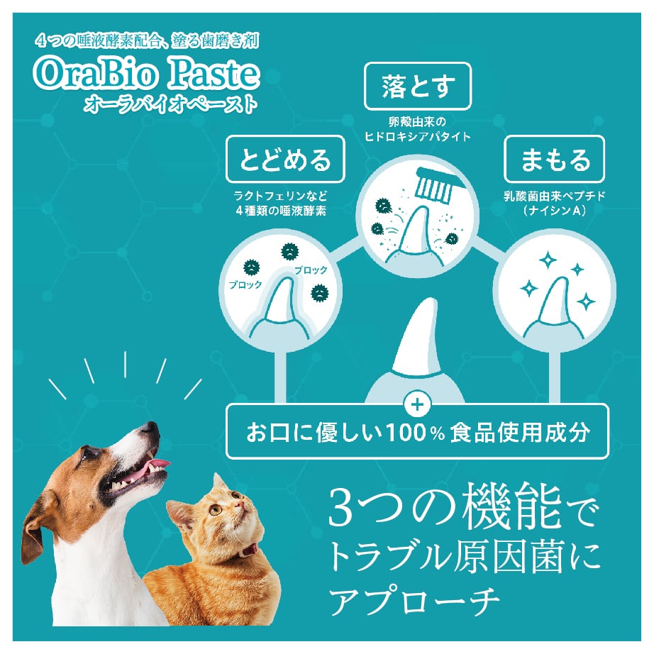 オーラバイオペースト（４種の唾液酵素&乳酸菌培養エキス配合）歯磨剤 6個入り