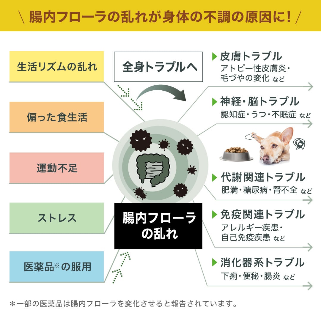 腸内フローラ検査キット【PiTPET】猫用（特典付）