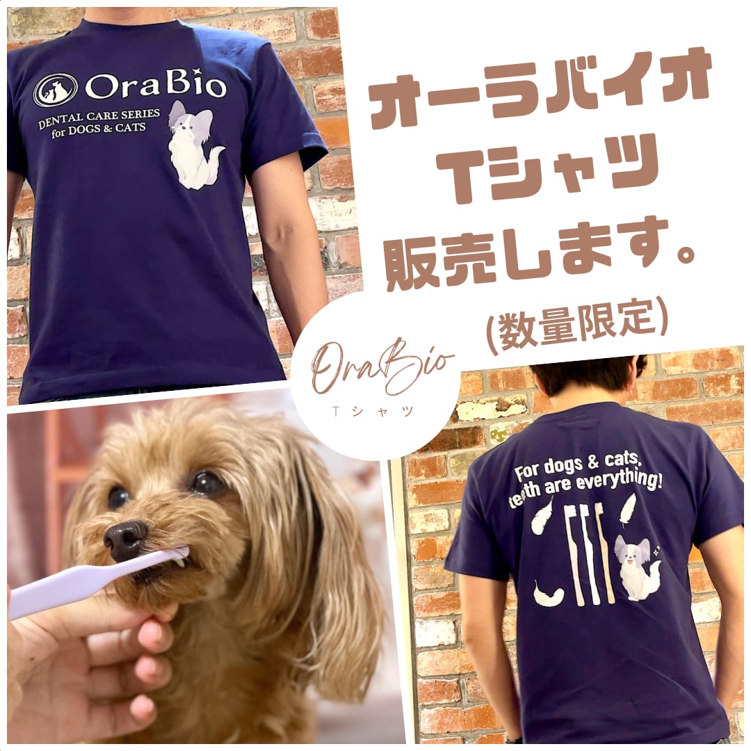 オーラバイオTシャツ（限定生産）送料無料