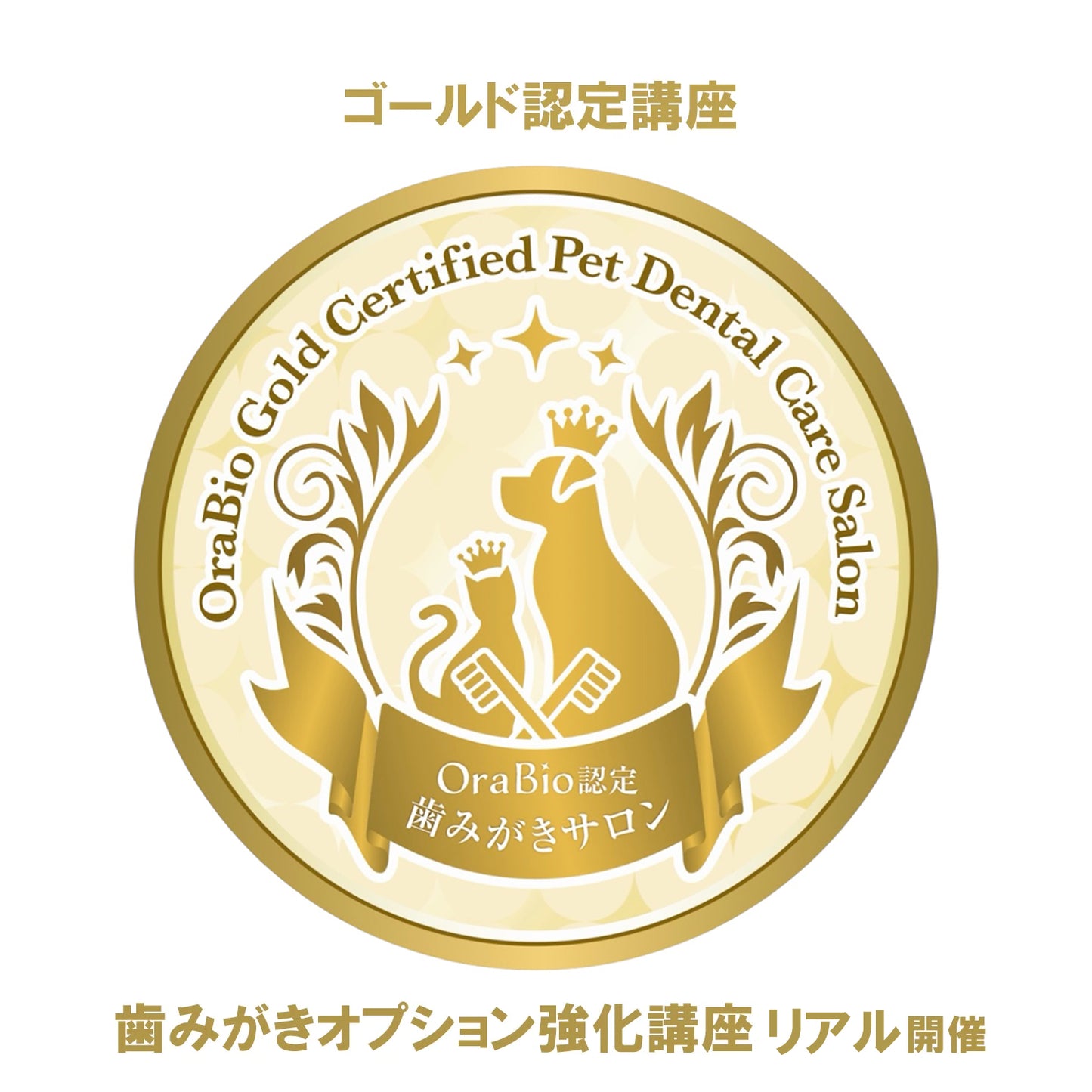 ゴールド認定（歯みがきオプション強化講座）