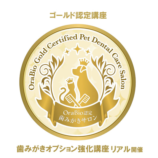 ゴールド認定（歯みがきオプション強化講座）